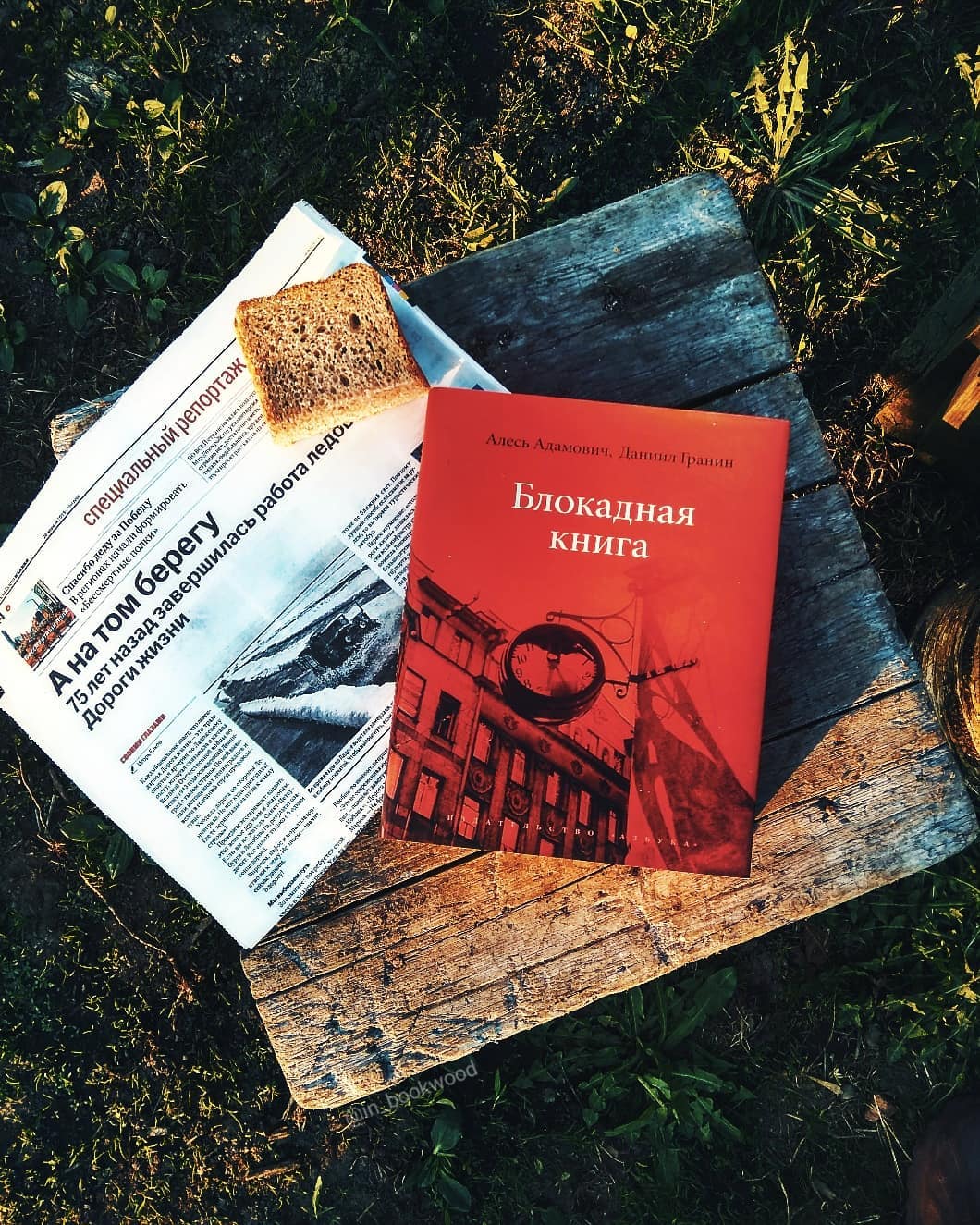 Обзор книги «Блокадная книга» авторов Алесь Адамович, Даниил Гранин