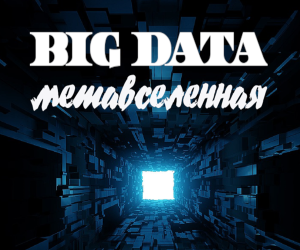 Завершена выкладка книги "Big Data. Метавселенная"