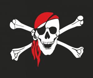 О пиратстве и противоборстве ему