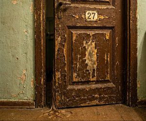 Почему я написала хоррор про общагу (и при чём тут волосы)