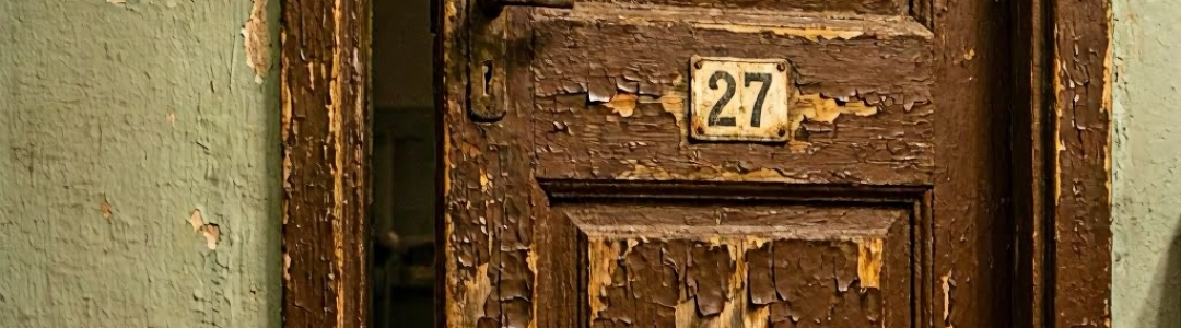 Почему я написала хоррор про общагу (и при чём тут волосы)