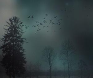 Про погоду: