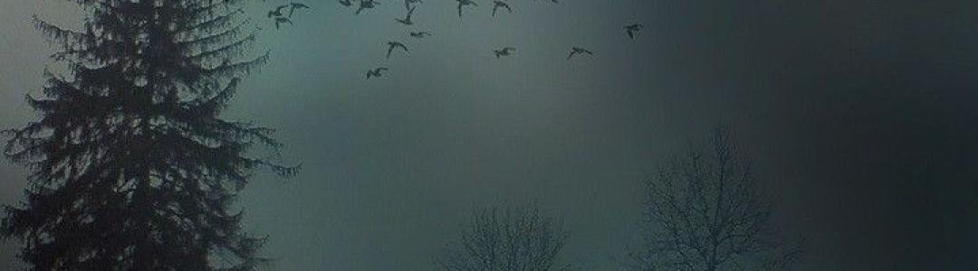 Про погоду: