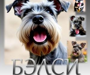 Дневник миттельшнауцера Бэлси