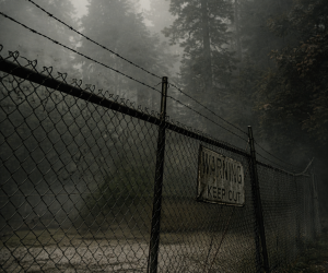 Путь до города | «Наблюдатель конца» Н.Гл