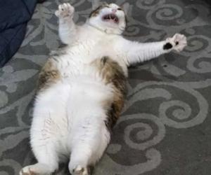 Блог без названия