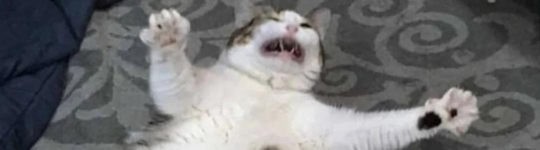 Блог без названия