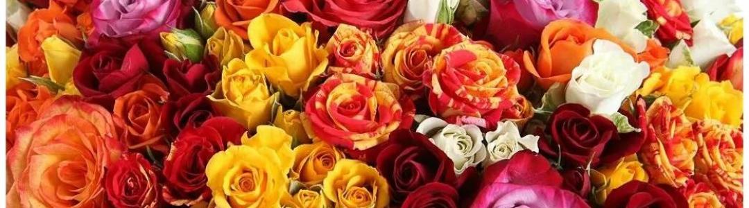 По Цветочным, Светлым мелодиям к Дню Рождения…