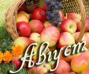 Август