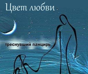 "Цвет любви. Треснувший панцирь" — первая часть цикла "Сквозь броню".