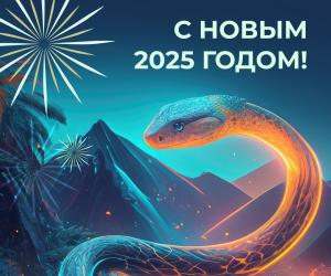 C Новым 2025 годом!