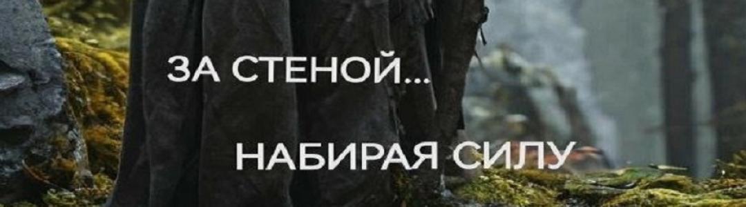 Рецензия на мою книгу "За стеной... Набирая силу" от коллеги.