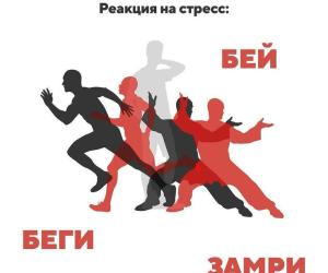 Бей  беги, замри!