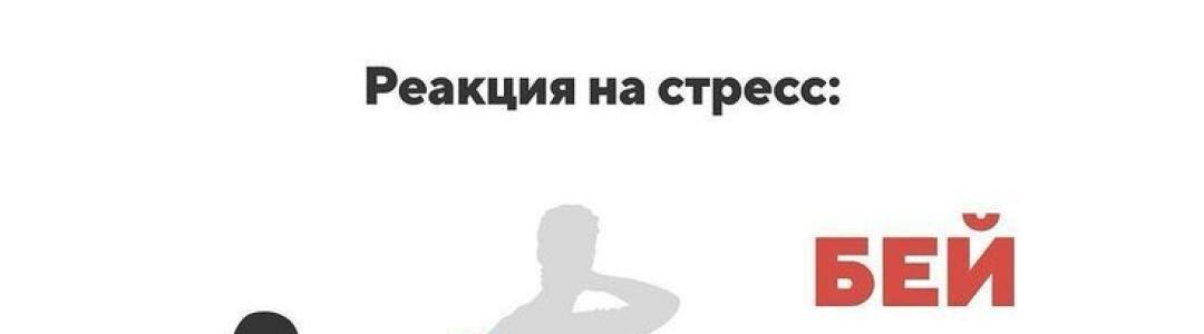 Бей  беги, замри!