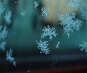 За окном сказочный танец дарят снежинки.