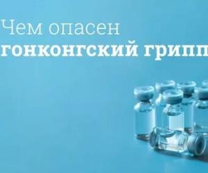 Гонконгский старый-новый грипп