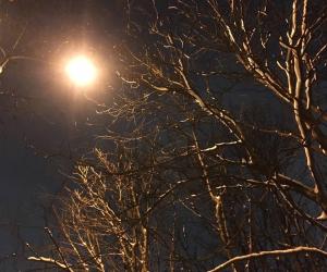 В красоте декабрьских, предновогодних чудес!