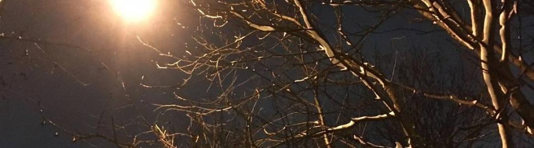 В красоте декабрьских, предновогодних чудес!