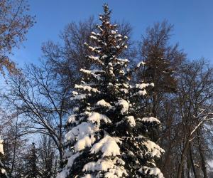 В синей лазури день января снежно-золотой.