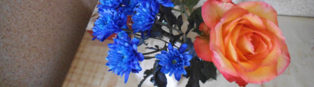 Пятница со Степаном Сказиным. Выпуск 45. Мне не до чего...