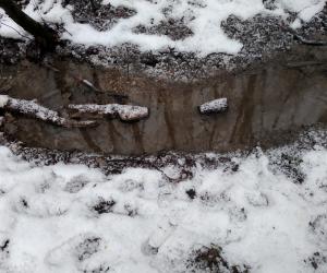 Пятница со Степаном Сказиным. Выпуск 48. Накануне весны