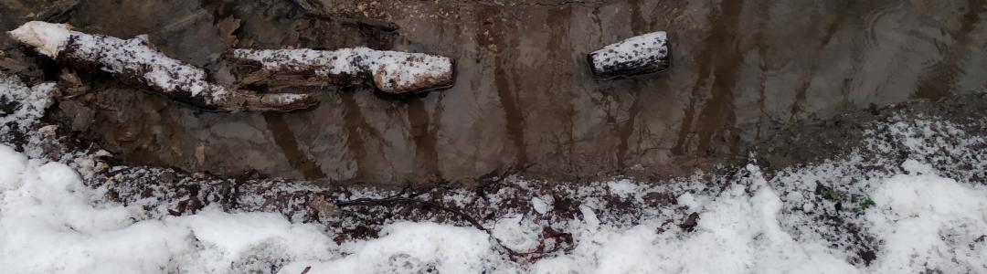 Пятница со Степаном Сказиным. Выпуск 48. Накануне весны