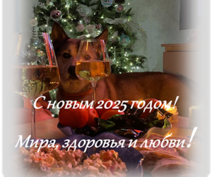 С новым годом!