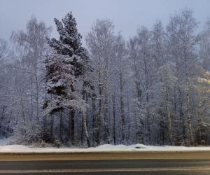 Пятница со Степаном Сказиным. Выпуск 41. Издерганность, творчество и близость финала