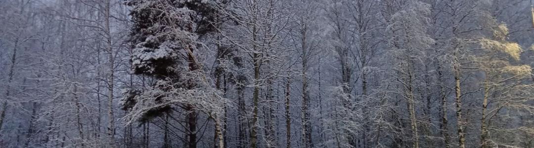 Пятница со Степаном Сказиным. Выпуск 41. Издерганность, творчество и близость финала