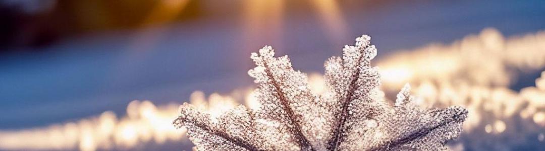 Солнечные моменты январских небес…