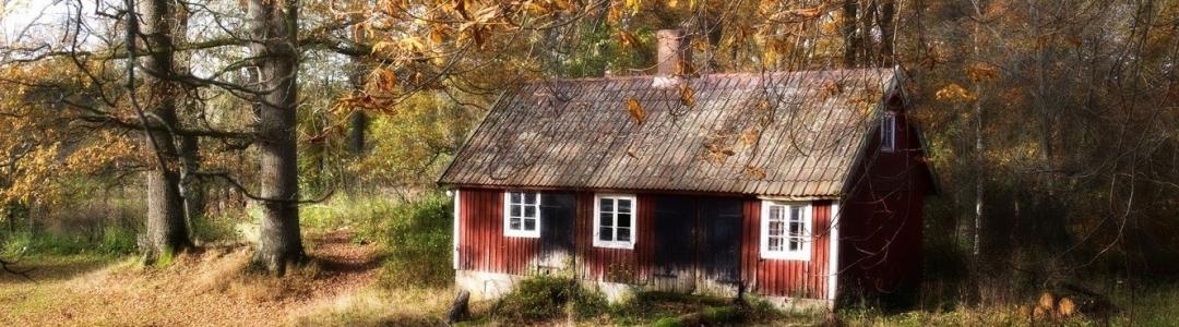 Мистика или мистификация?.. Рецензия на повесть Алены Зориной "История моего исчезновения"