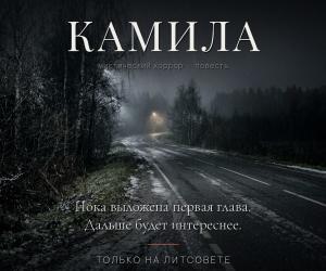 Новая книга. «КАМИЛА»