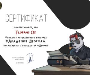 МОИ ДОСТИЖЕНИЯ