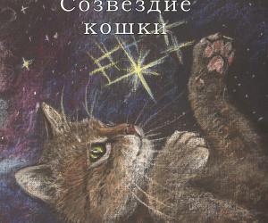 С Днем кошек!