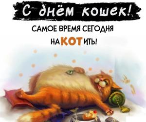 1 марта - международный День Кошек!