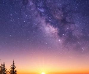 Ниша или массмаркет?