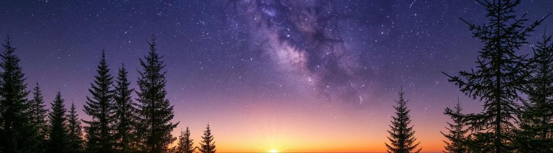 Ниша или массмаркет?