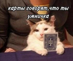 Писательство и Таро: моя алхимия ?️?