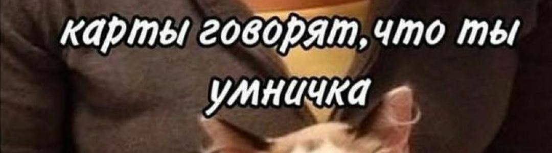 Писательство и Таро: моя алхимия ?️?