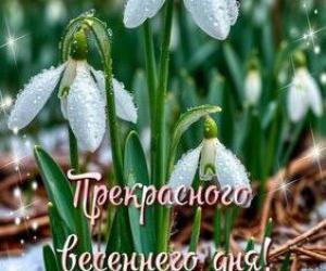 По весенним симфониям…