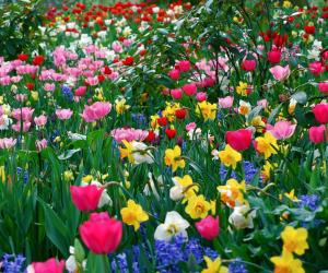 Цветочная музыка Весны!