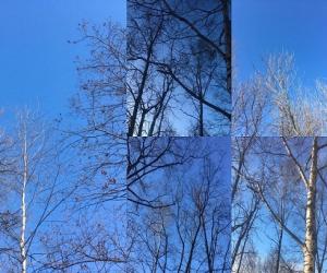 В сине-голубых звучаниях Небес Весны…