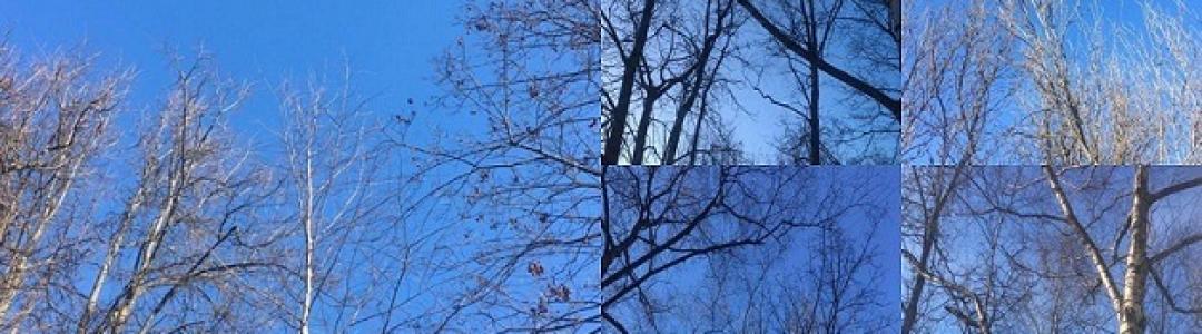 В сине-голубых звучаниях Небес Весны…