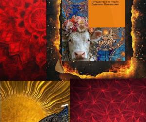 Поездка в Кералу. Дневники Панчакармы