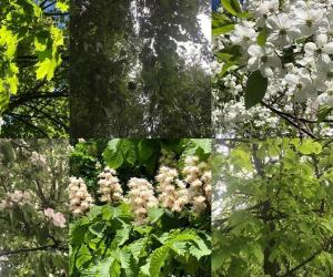 Пока ещё звучит майское время чудес…
