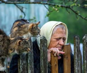 Кошмар отчуждения. Рецензия на повесть Алены Зориной "Стена  между нами"