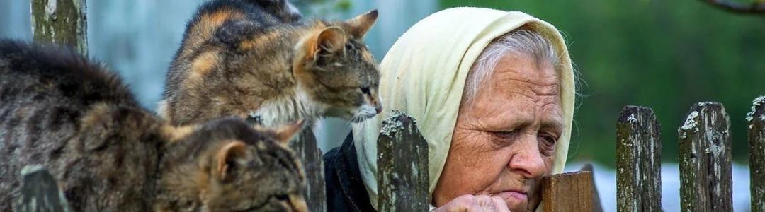 Кошмар отчуждения. Рецензия на повесть Алены Зориной "Стена  между нами"
