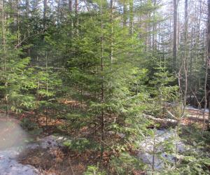 Скамейка