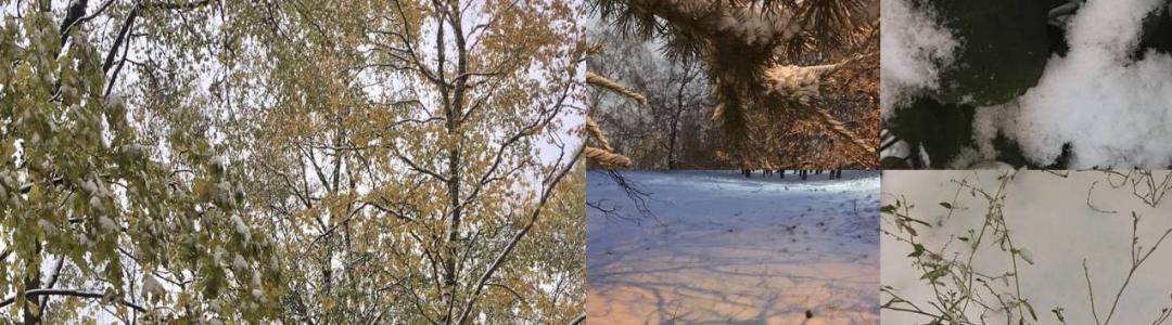 В Осенне-Зимней песенке чудес.