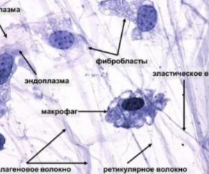 "Самозашивание" тканей в организме
